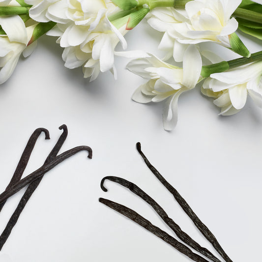 White scent flay lay