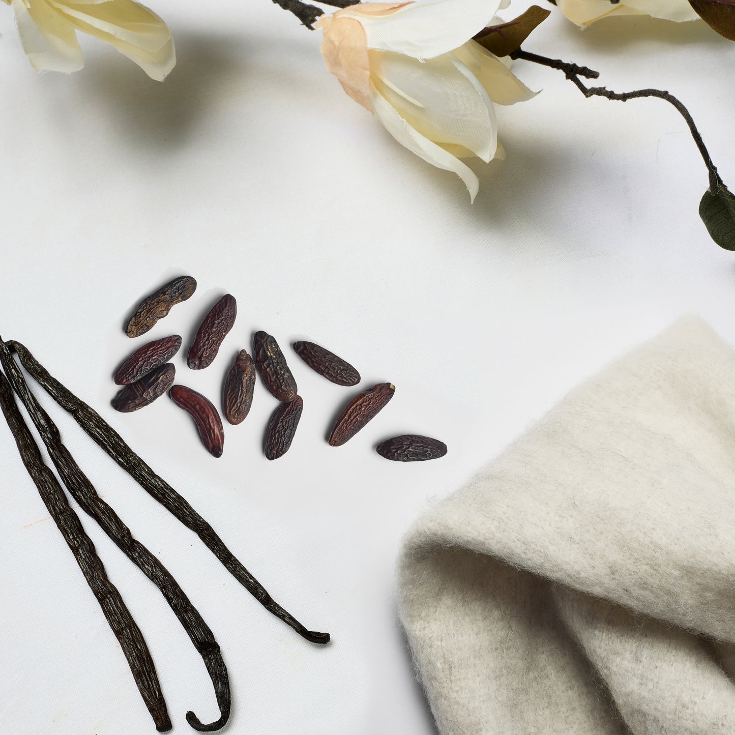 Black scent flay lay