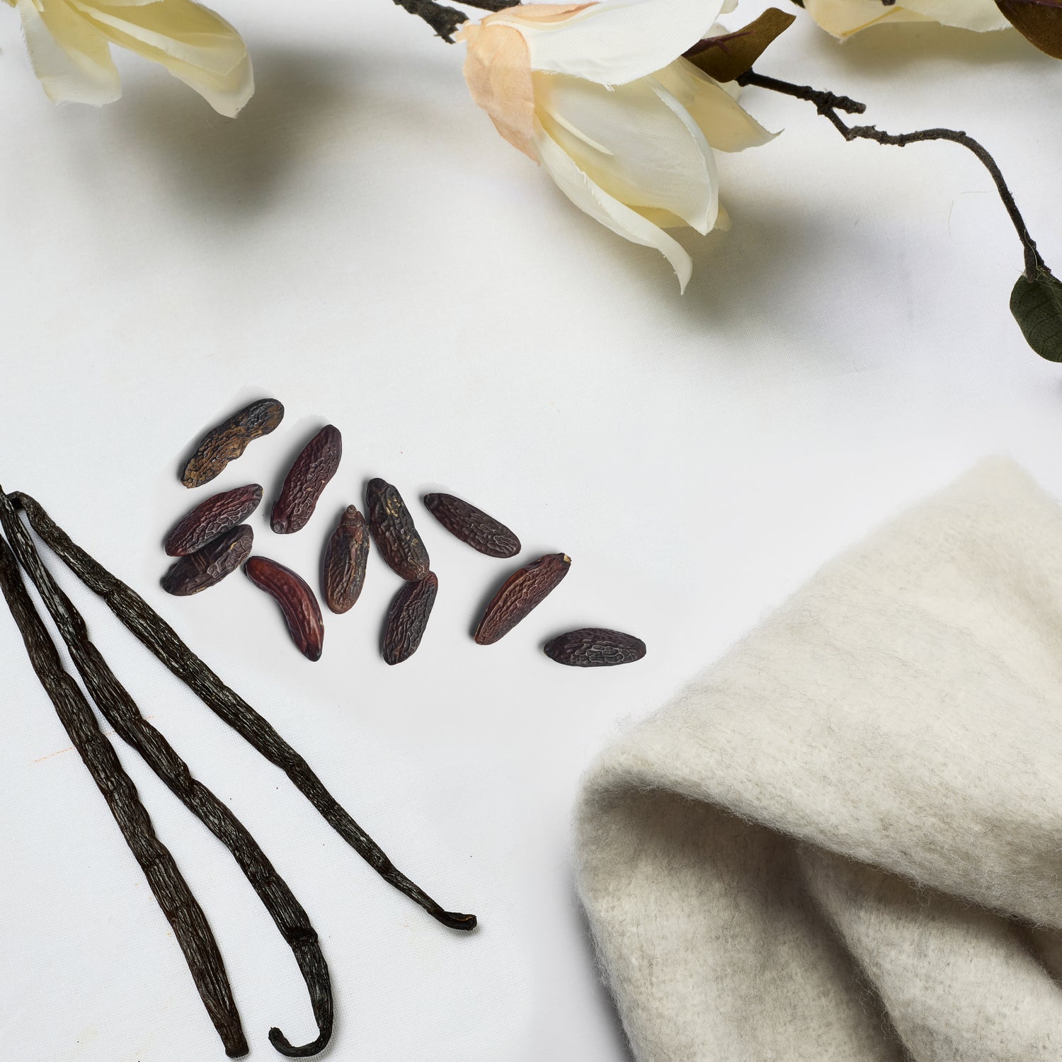 Black scent flay lay