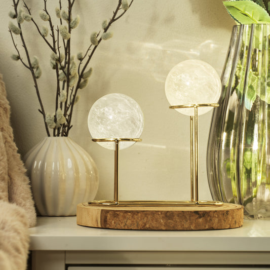 Decorative table lamps with wooden bases and glass shades on a surface with plants in the background.